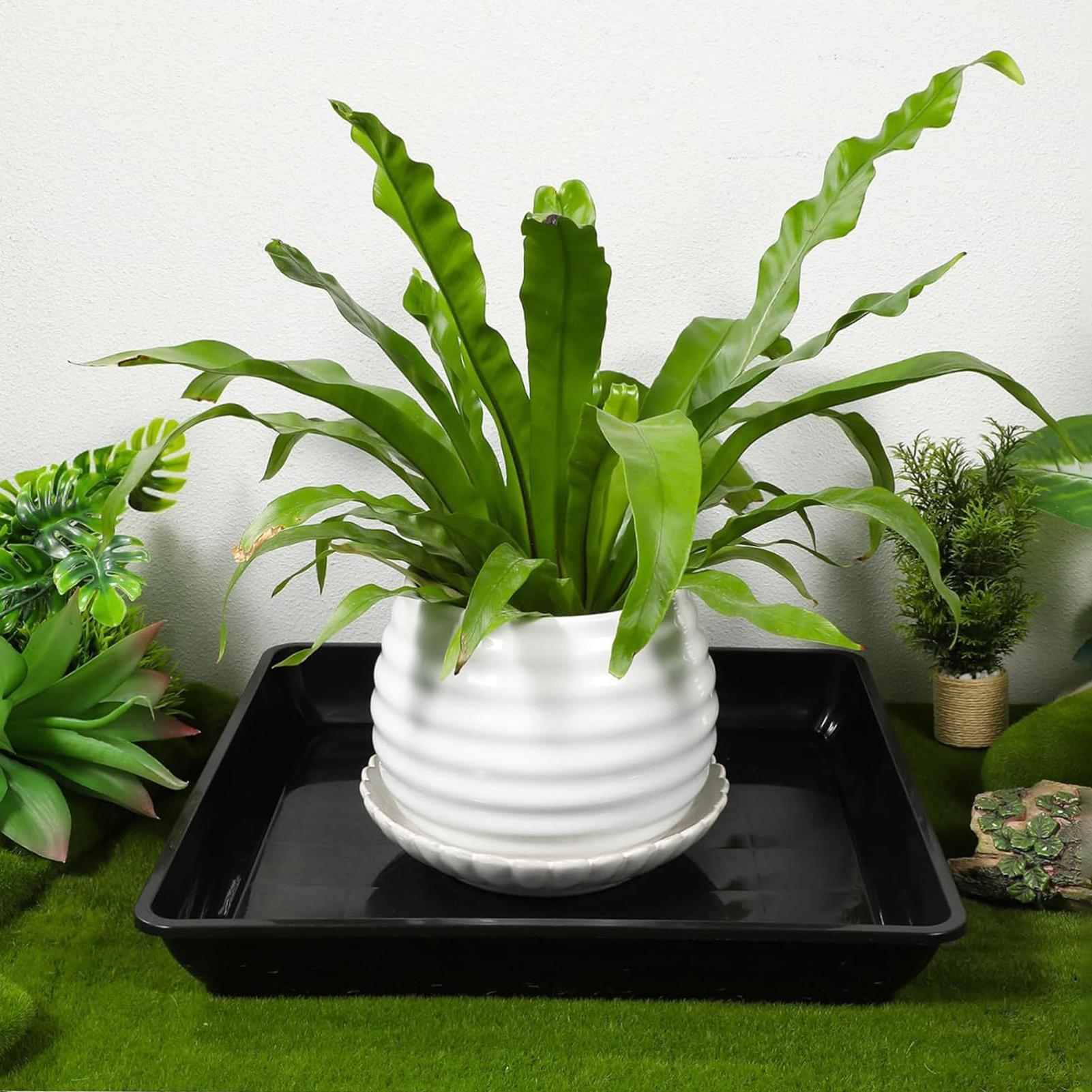 Bandejas para Vasos de Flores  - Drip Tray Saucer avaliação e preço